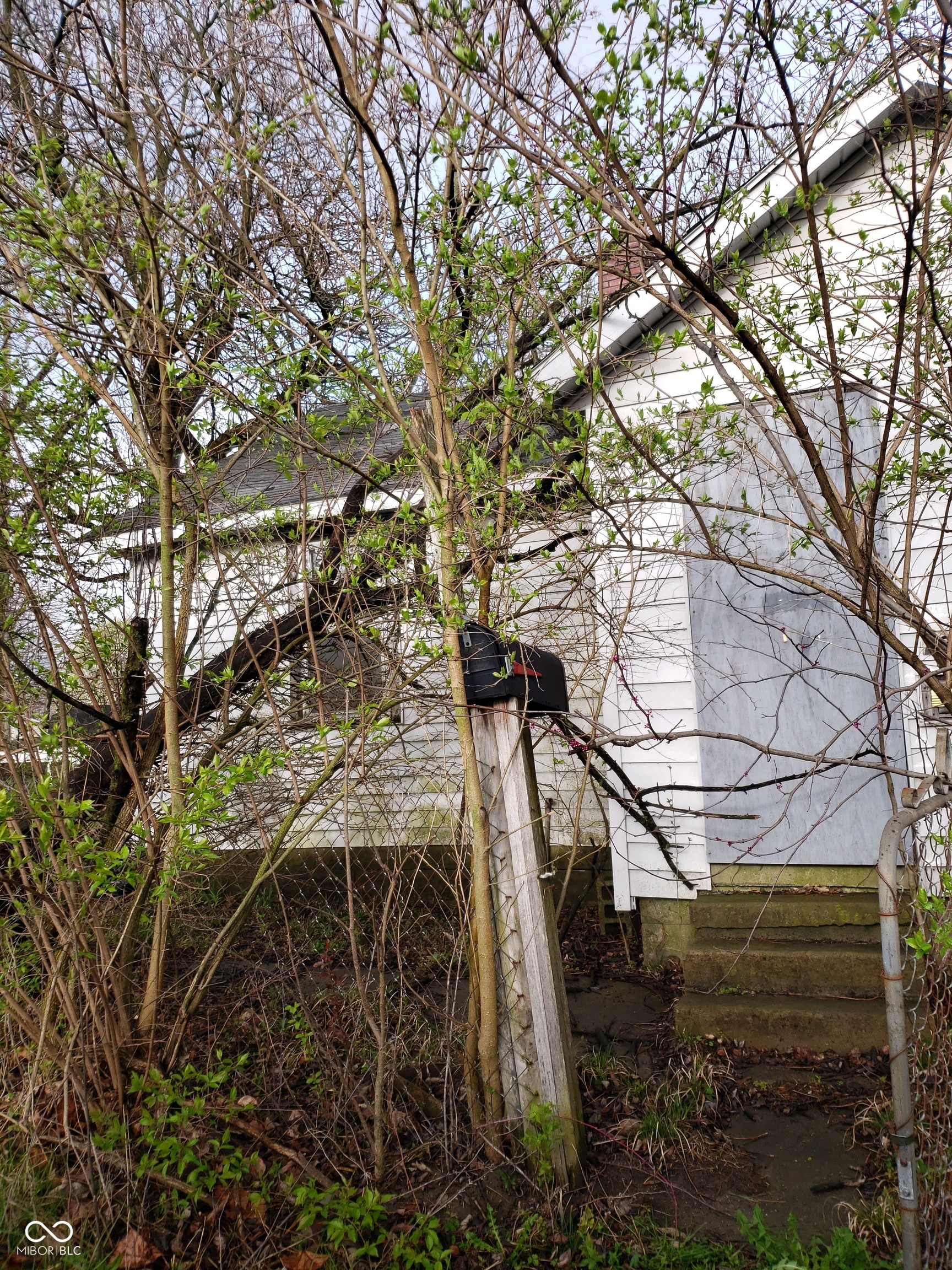 Photo 4 of 11 of 2220 S Birch Street house