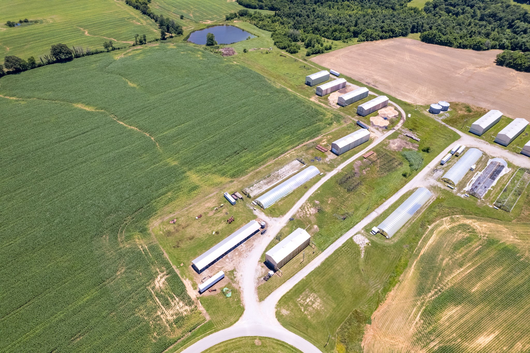 Photo 3 of 9 of 3800 Mt Zoar Rd land