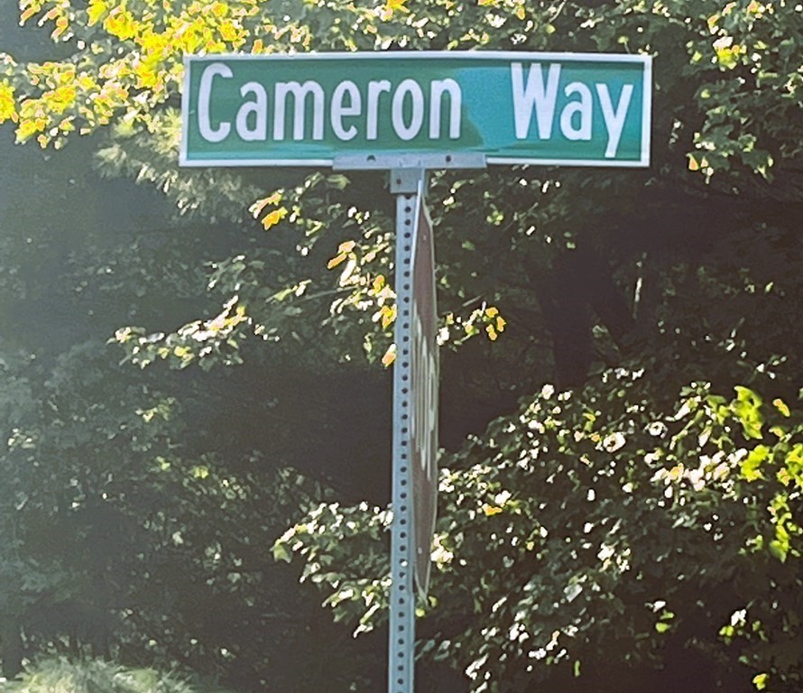Photo 1 of 4 of 129 Cameron Way land