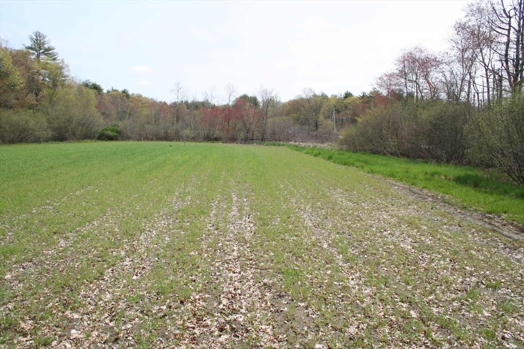 Photo 8 of 9 of 900 Concord Rd land