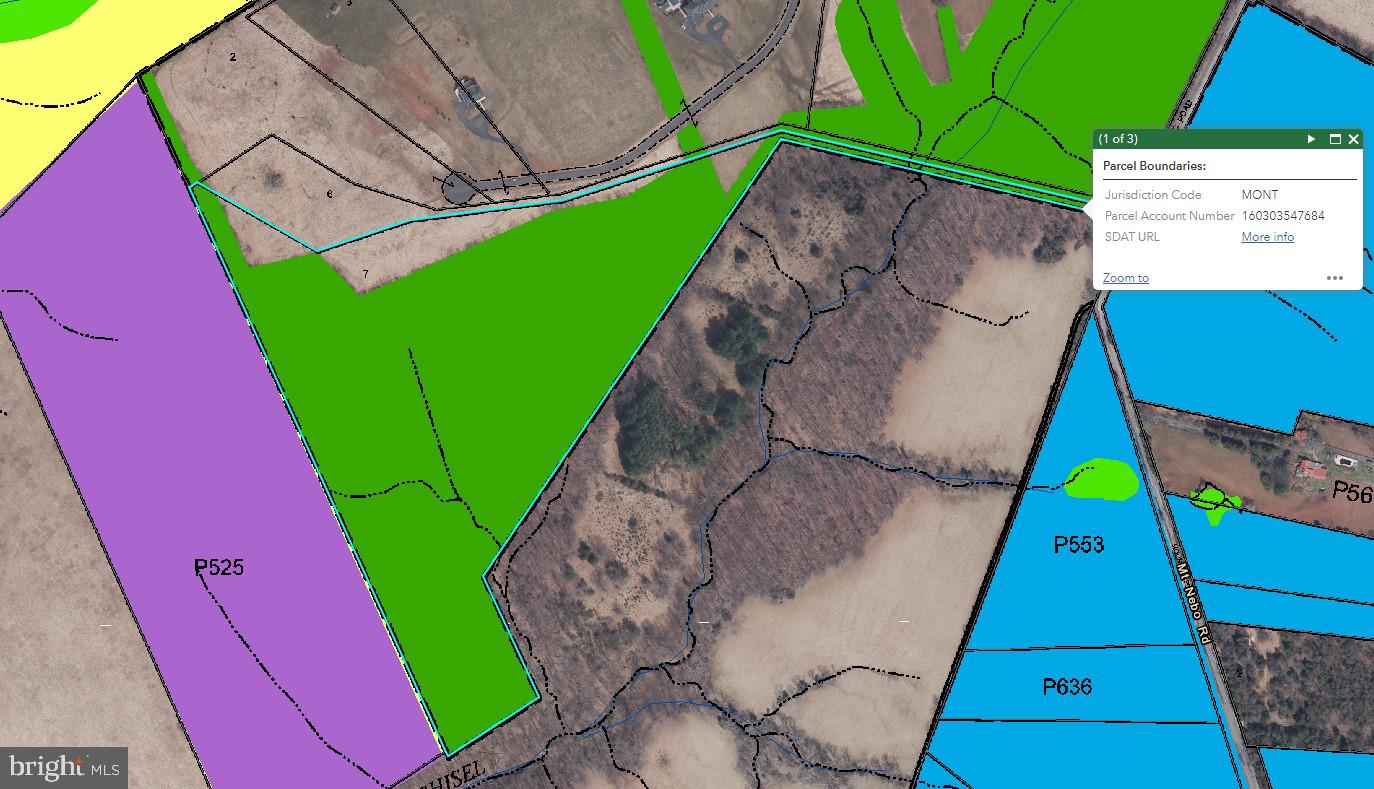 Photo 3 of 8 of 15500 Mount Nebo Rd land