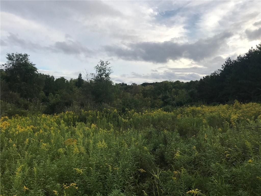 Photo 3 of 4 of VAC S Mountain View Estates Road land