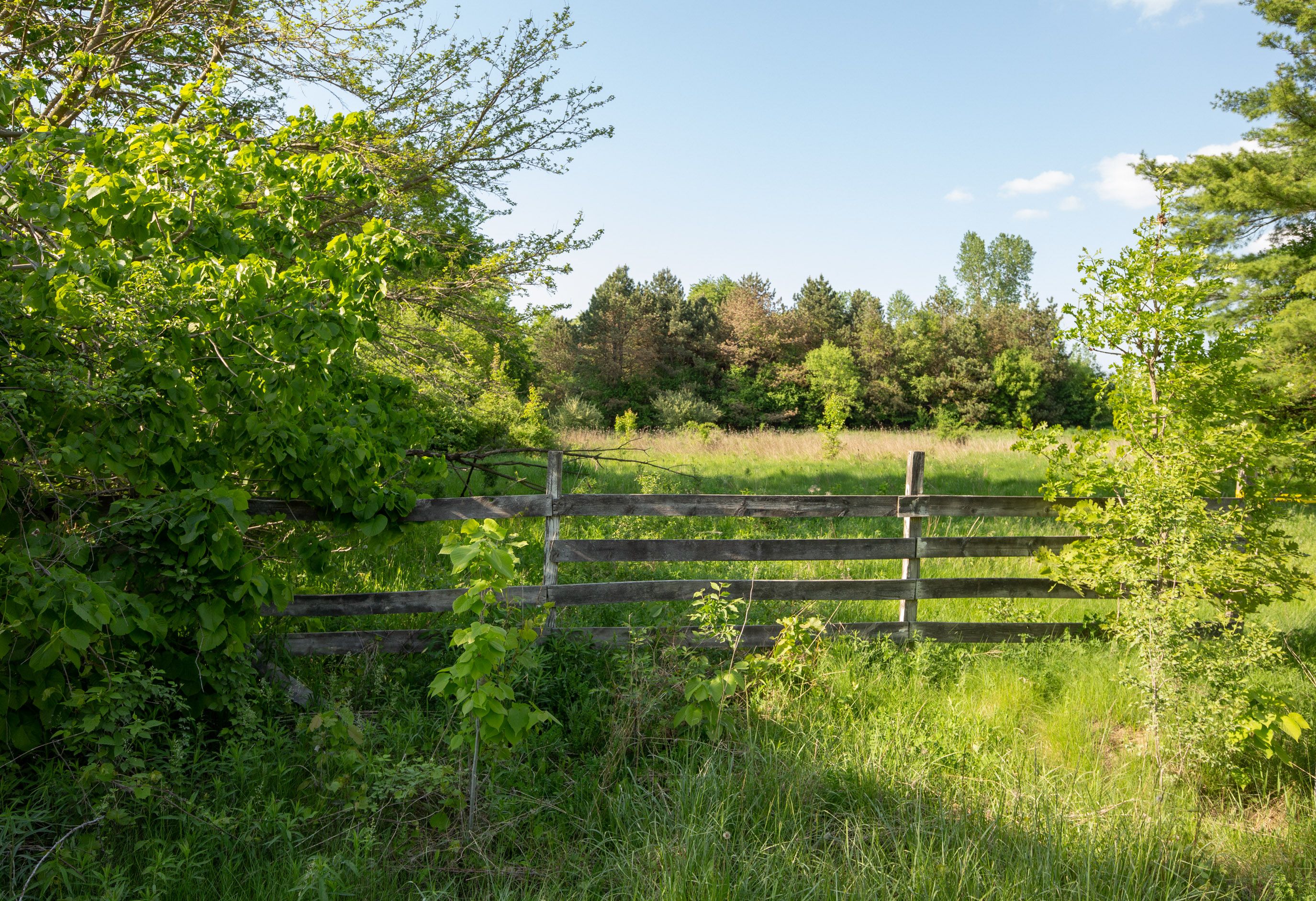 Photo 1 of 24 of 7970 W LIBERTY Road land