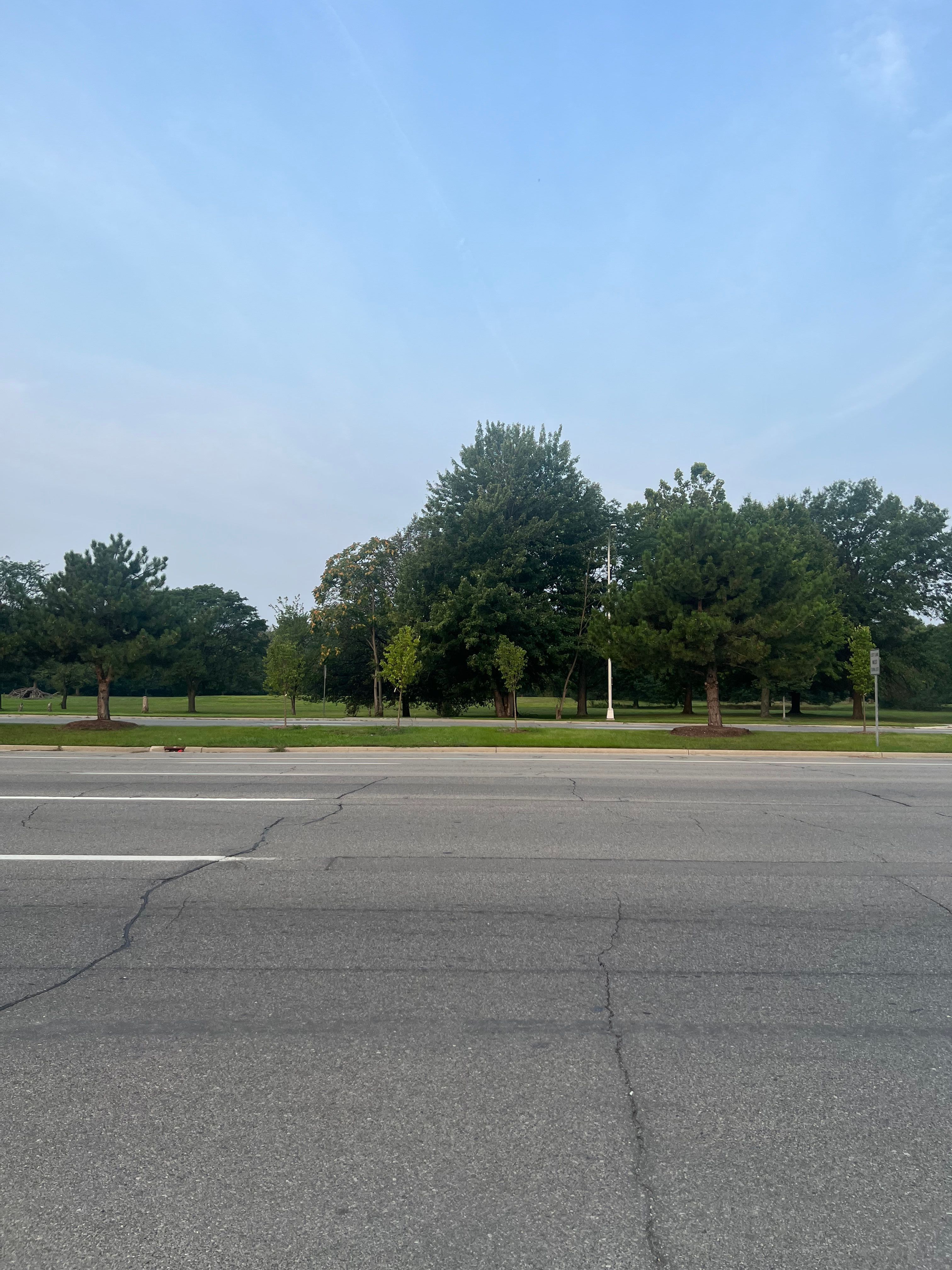 Photo 5 of 10 of 18650 WOODWARD Avenue land