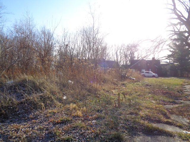 Photo 15 of 20 of 18088 PELKEY Street land