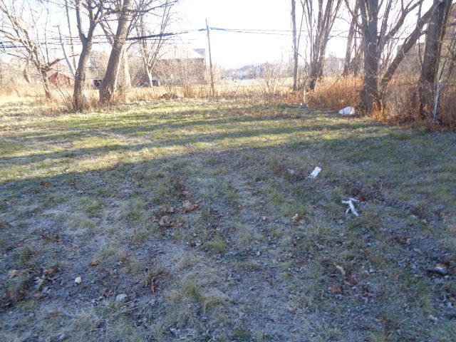 Photo 3 of 20 of 18088 PELKEY Street land