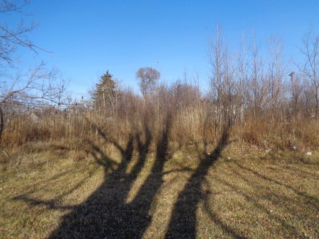 Photo 9 of 20 of 18088 PELKEY Street land