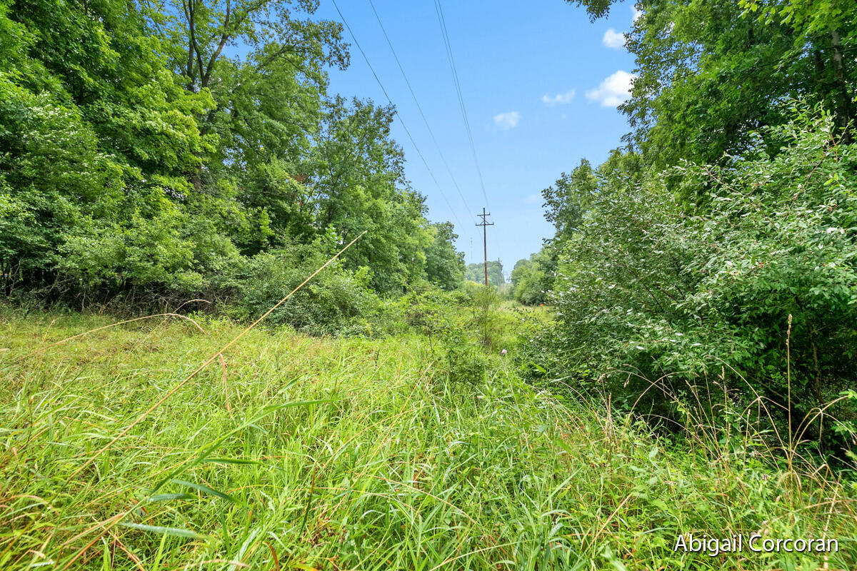 Photo 13 of 31 of 1782 Knapp Street NE land