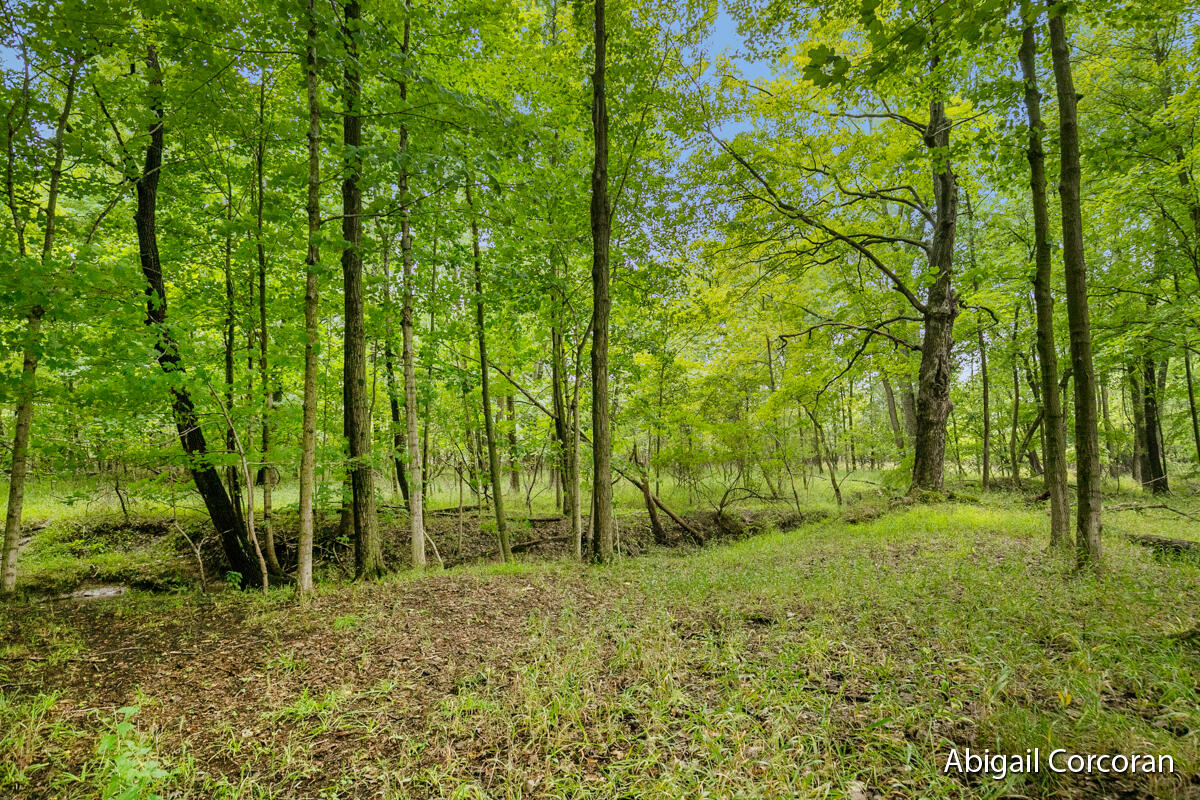 Photo 16 of 31 of 1782 Knapp Street NE land