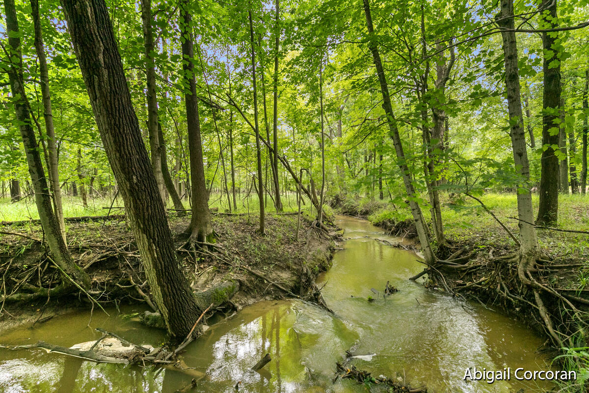 Photo 9 of 31 of 1782 Knapp Street NE land