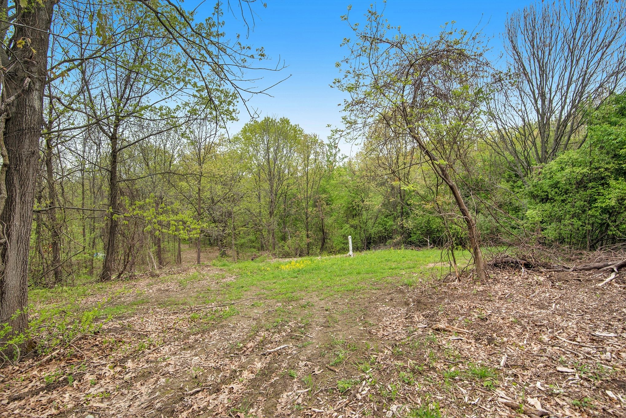 Photo 3 of 5 of Stickney Rd Lot C Stickney Road land