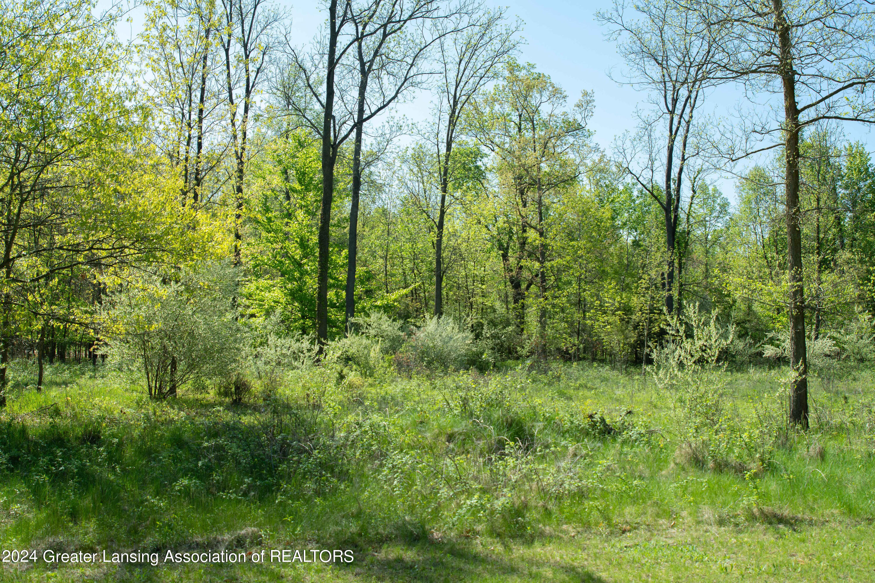 Photo 4 of 16 of V/L Island Road land