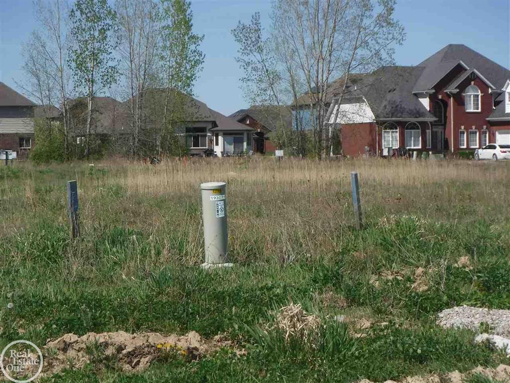 Photo 2 of 4 of 19324 Springbrook, Lot #163 Drive land