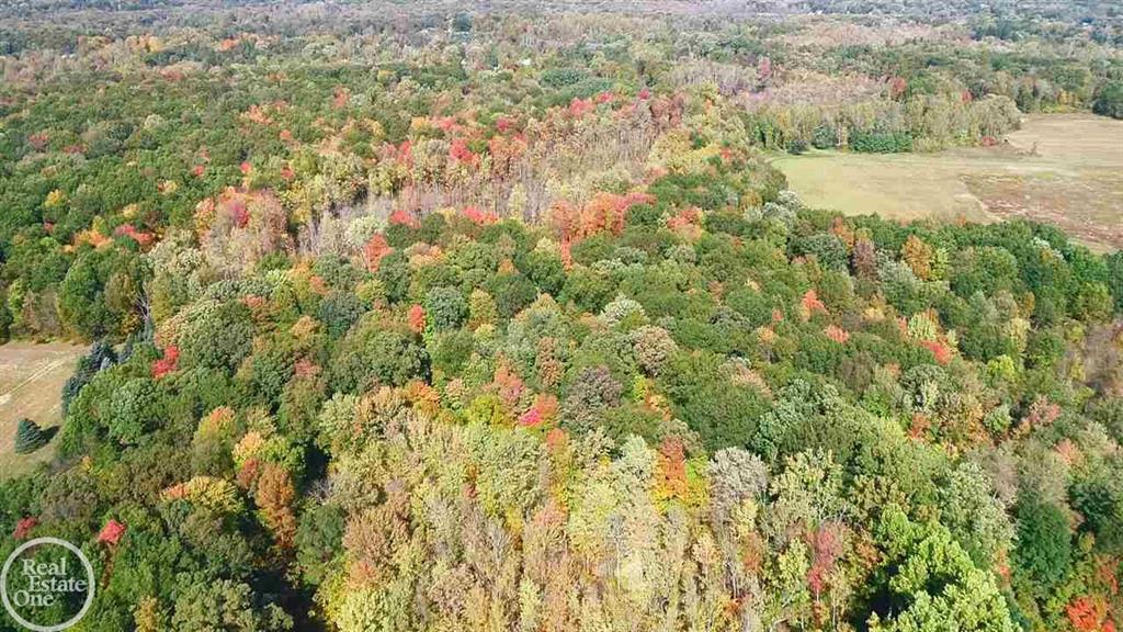 Photo 17 of 30 of 500 Stoney Creek Road land