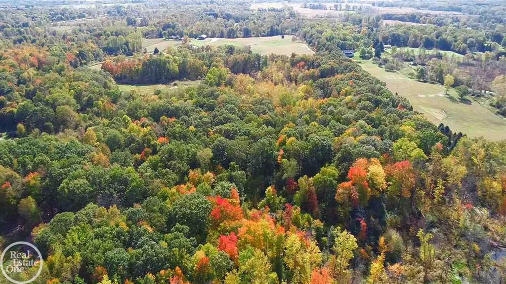 Photo 22 of 30 of 500 Stoney Creek Road land