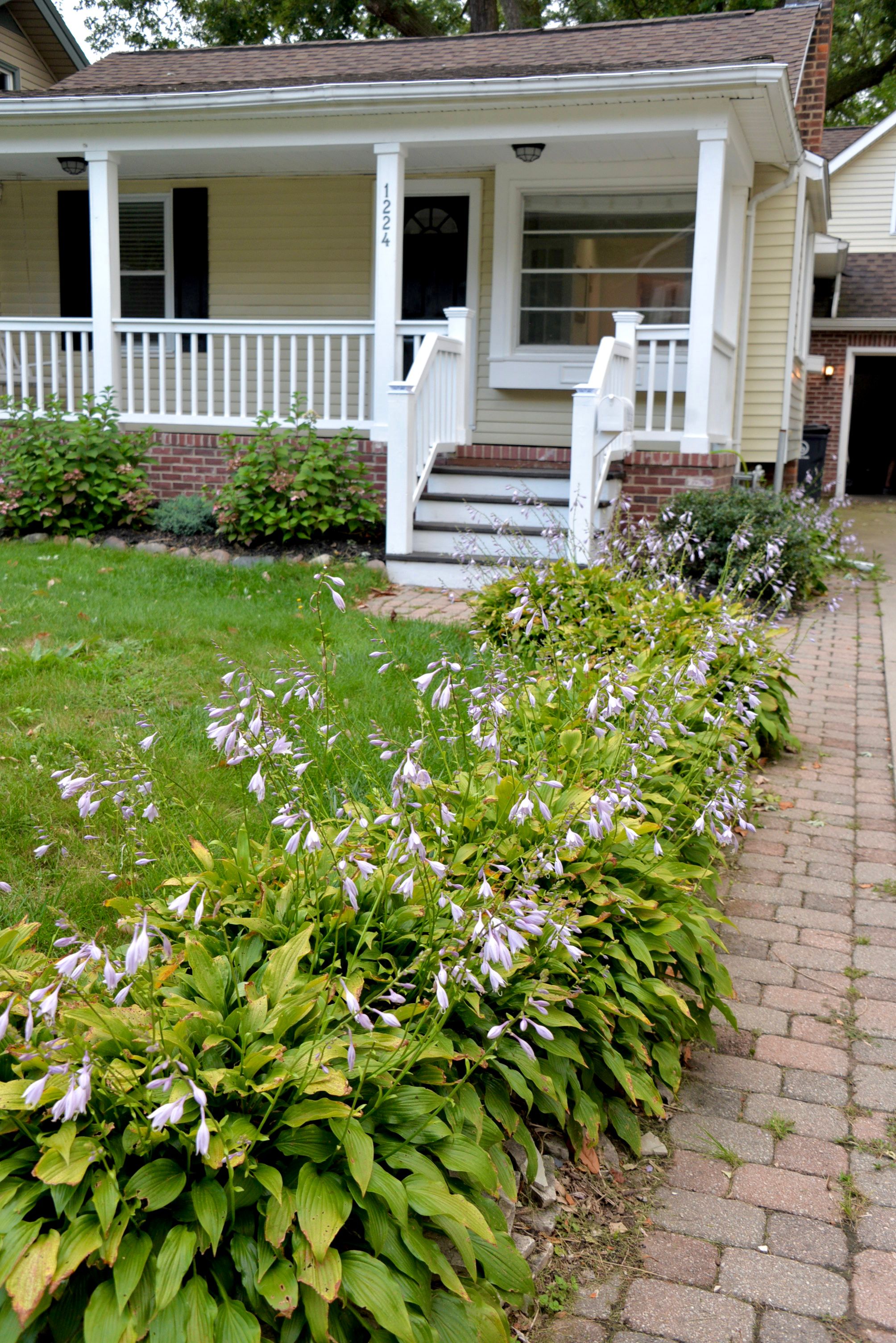 Photo 65 of 66 of 1224 CHEROKEE Avenue house