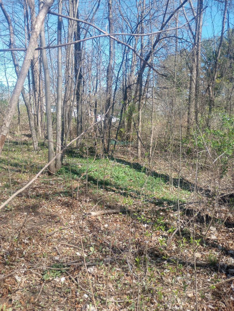 Photo 1 of 3 of 4093 Libbie Drive land