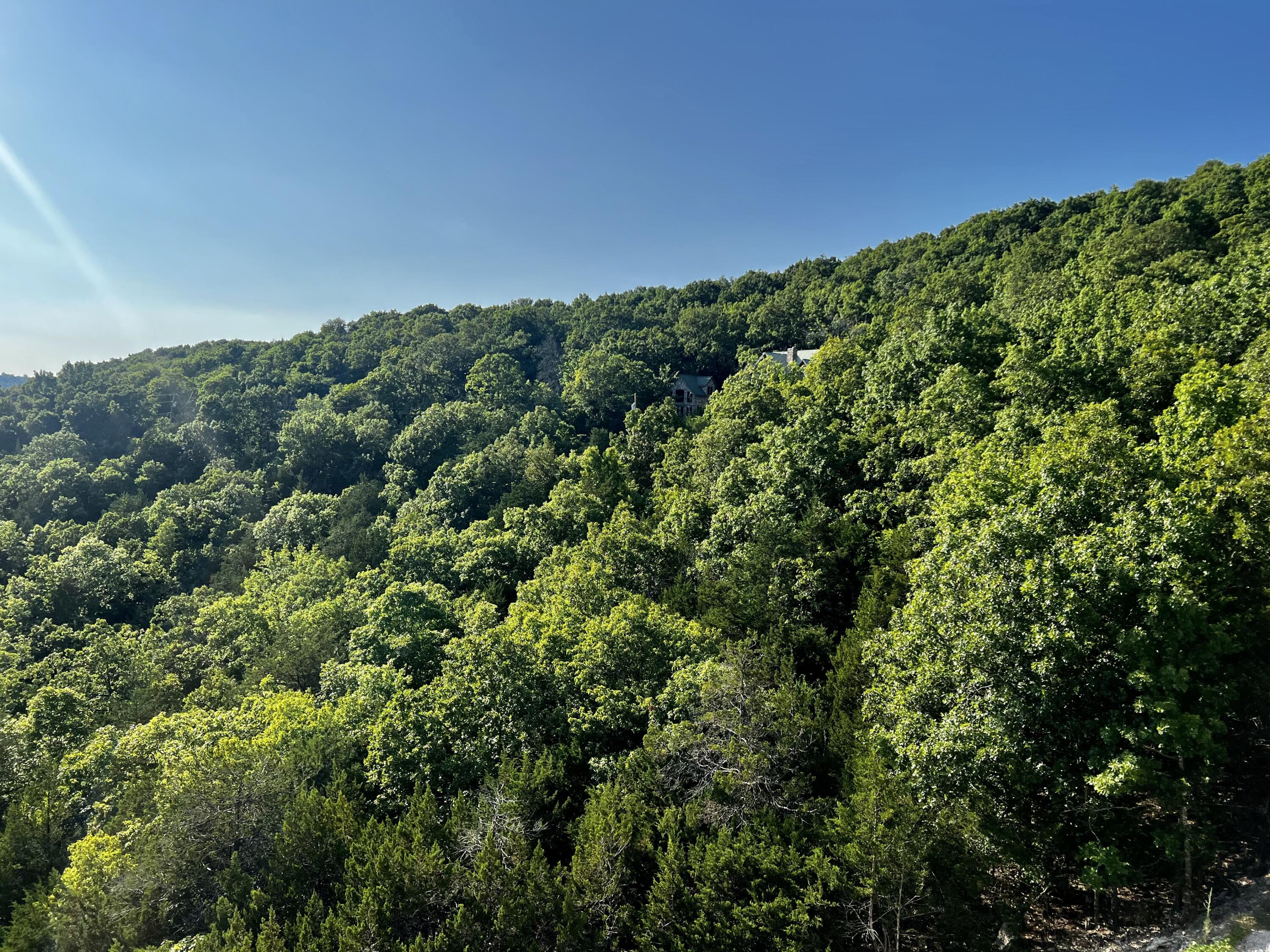 Photo 4 of 7 of 000 Jackson Hollow Road land