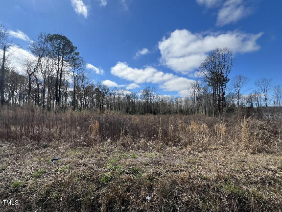 Photo 1 of 5 of 460 Johnston County Road land