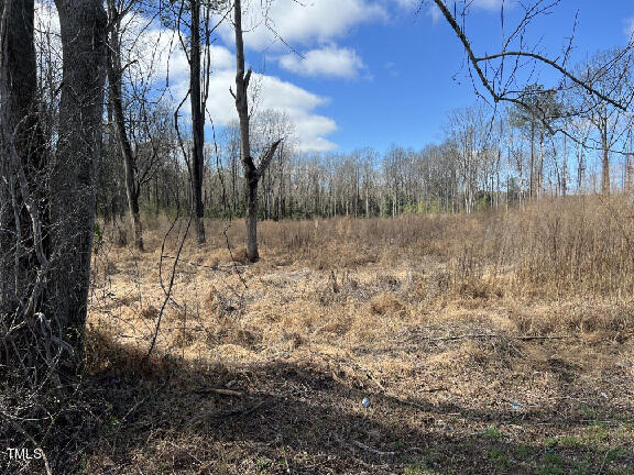 Photo 2 of 5 of 460 Johnston County Road land