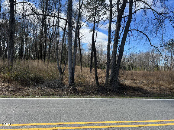 Photo 3 of 5 of 460 Johnston County Road land