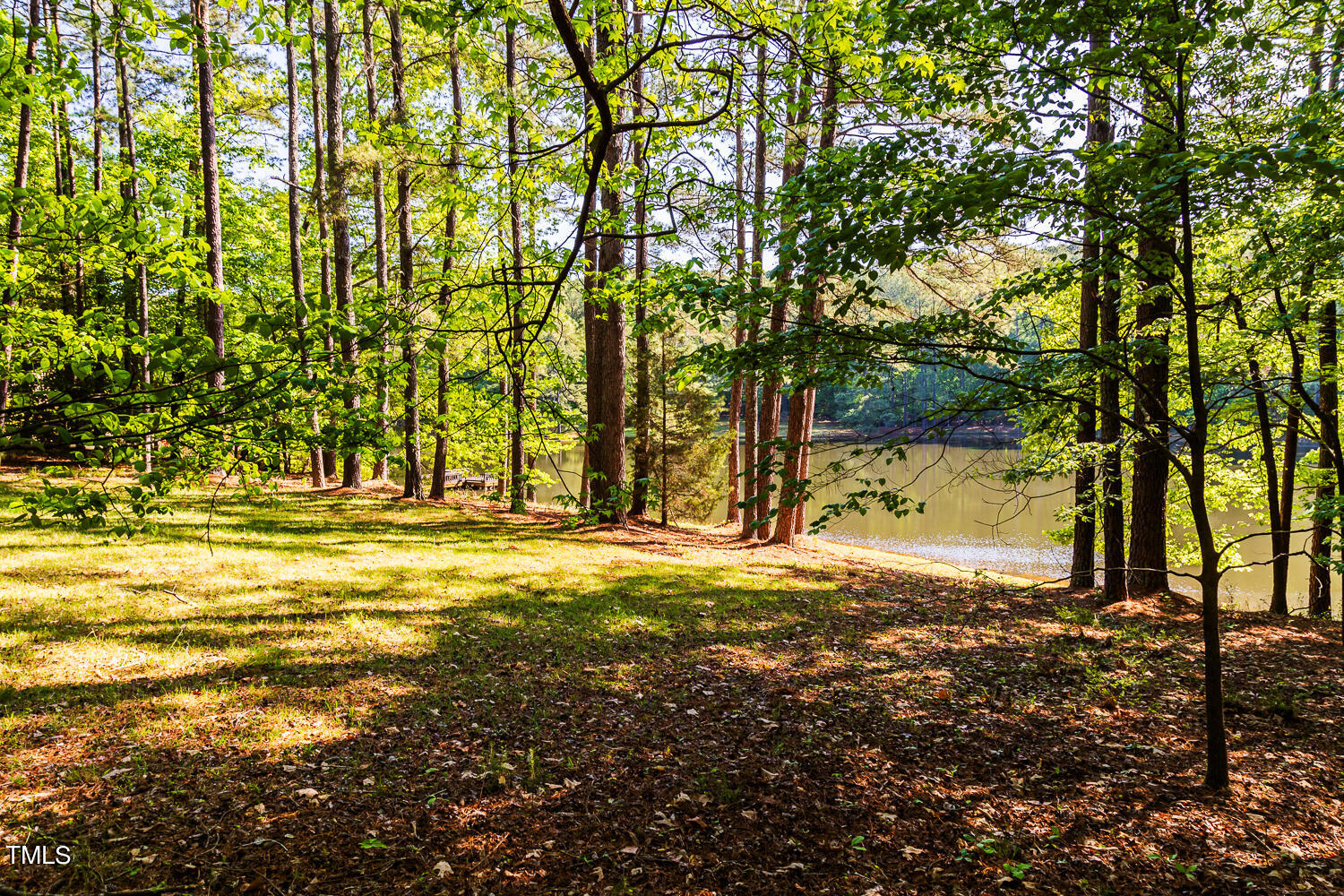 Photo 9 of 34 of 10305 Old Creedmoor Road house