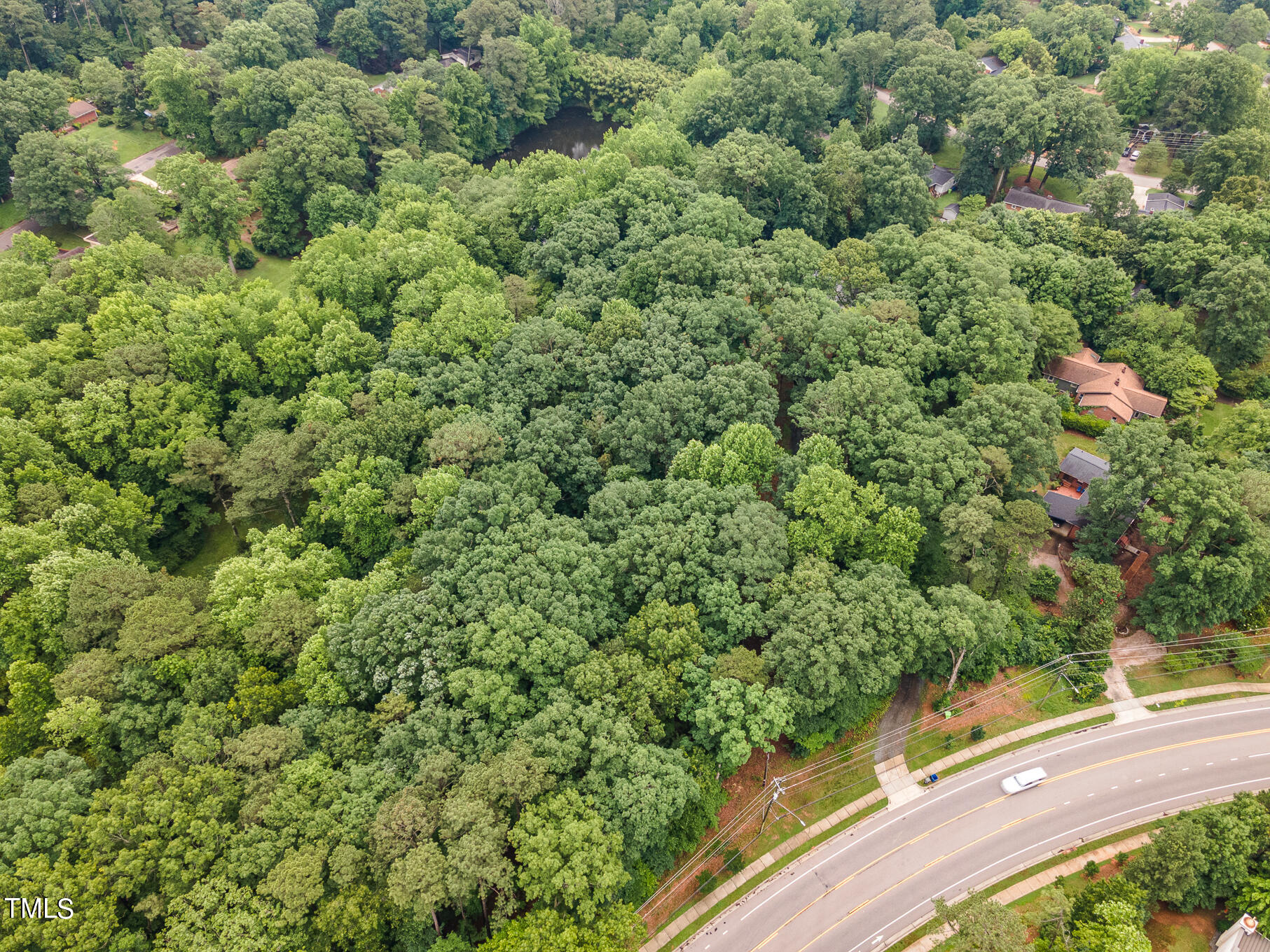 Photo 5 of 6 of 517 Buck Jones Road land