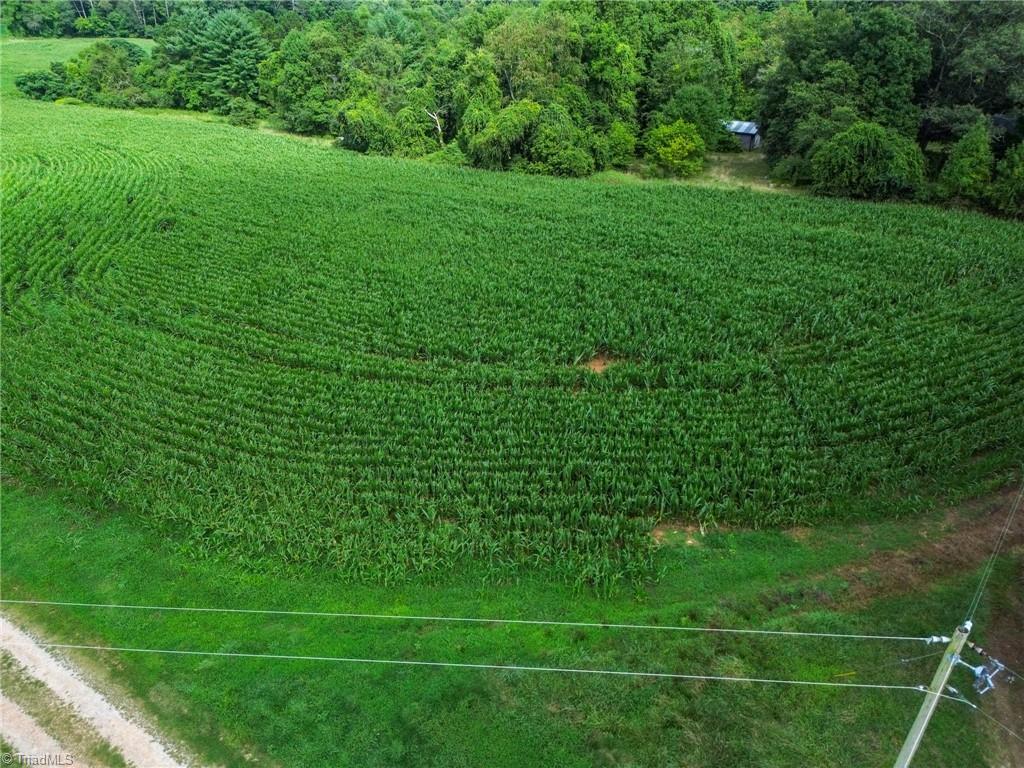 Photo 12 of 22 of 268 McKinley Road land