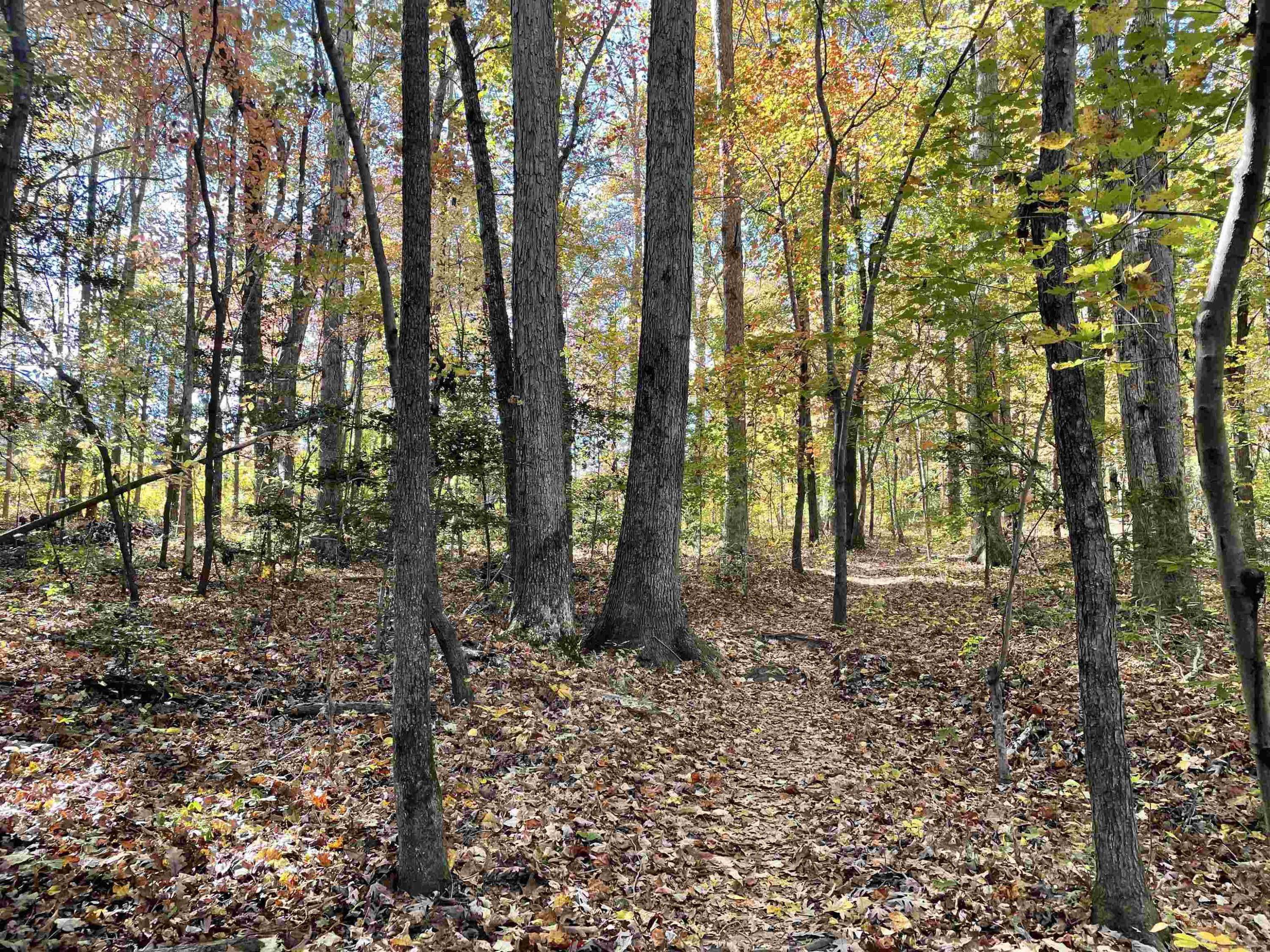 Photo 18 of 39 of 5021 Griffin Farm Lane land