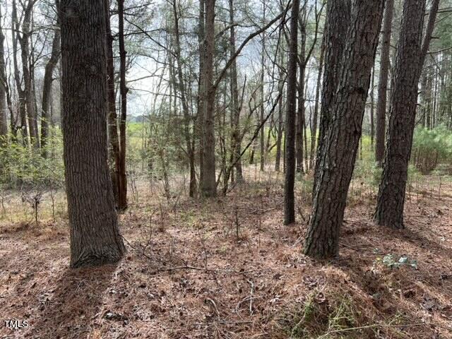 Photo 1 of 10 of 8613 Breezy Grove Trail land