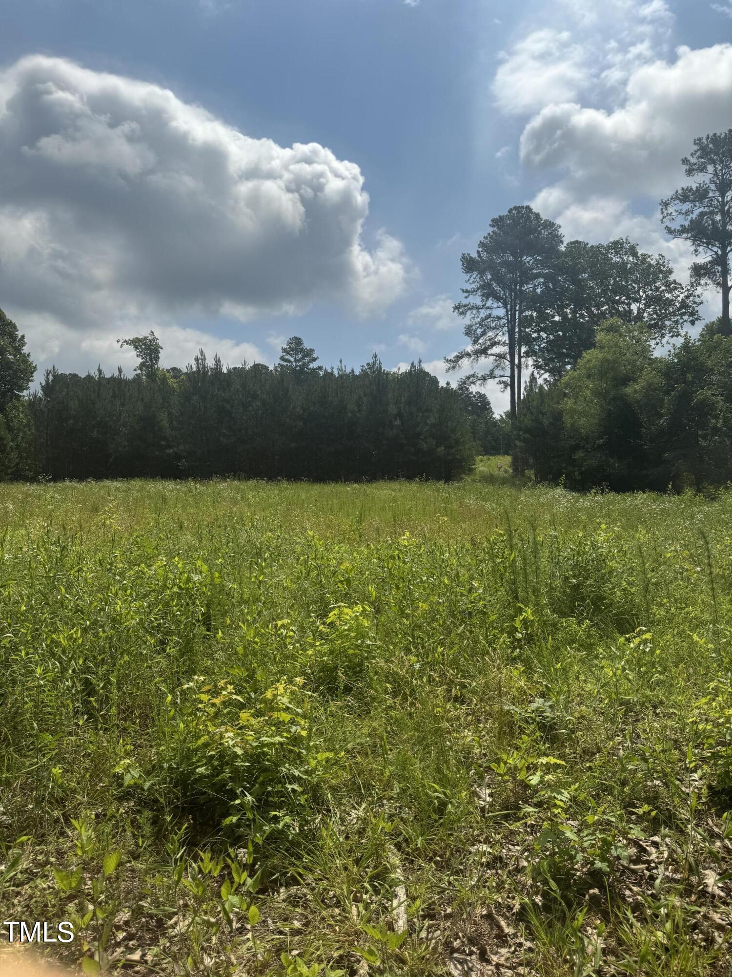 Photo 1 of 4 of 13321 Creedmoor Road Road land