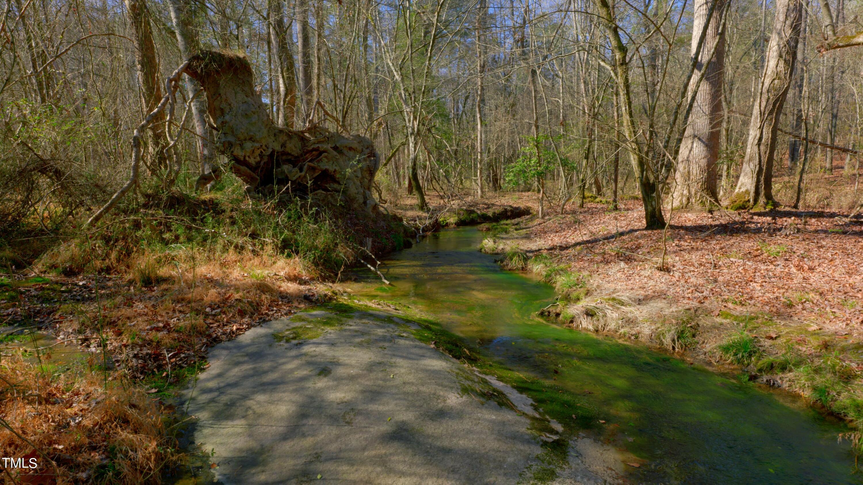 Photo 11 of 23 of 7406 Mitchell Mill Road land