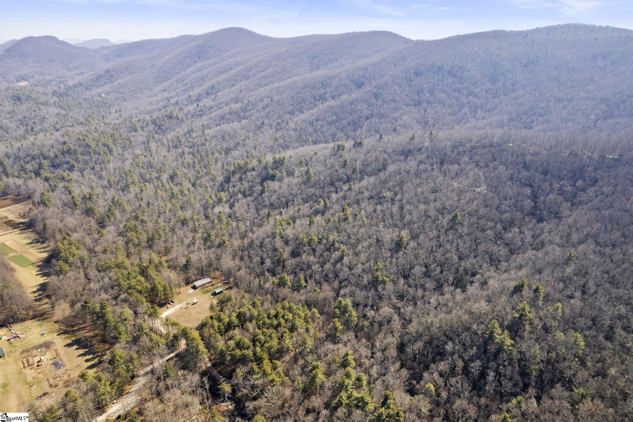 Photo 7 of 14 of 3772 BEAR PAW RIDGE Road land