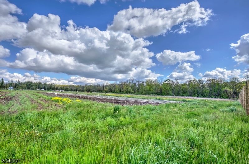 Photo 6 of 20 of 1500 Larger Cross Rd land