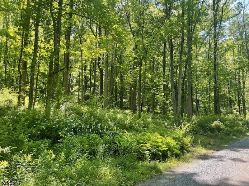 Photo 1 of 3 of 160 Jockey Hollow Rd land