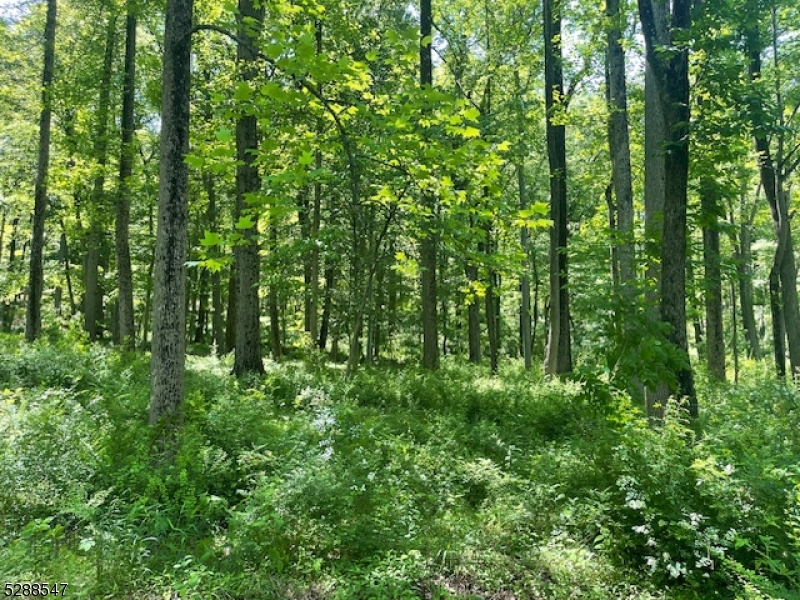 Photo 3 of 3 of 160 Jockey Hollow Rd land