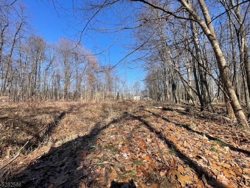 Photo 8 of 10 of 19 Quinlisk Rd land