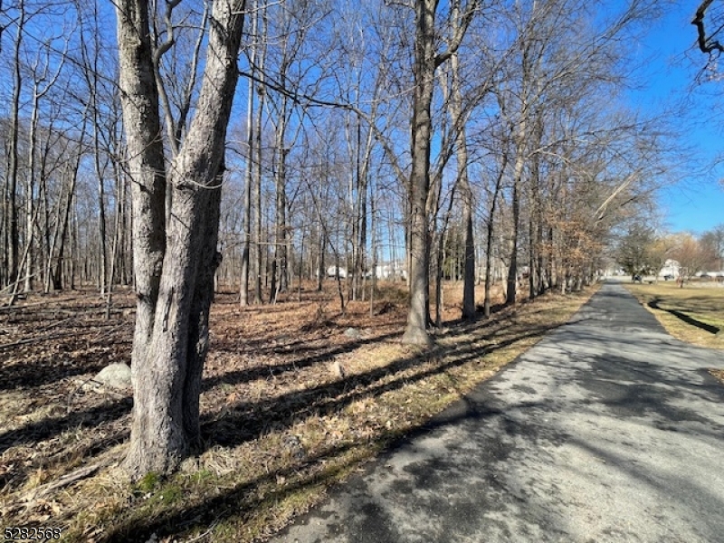 Photo 9 of 10 of 19 Quinlisk Rd land