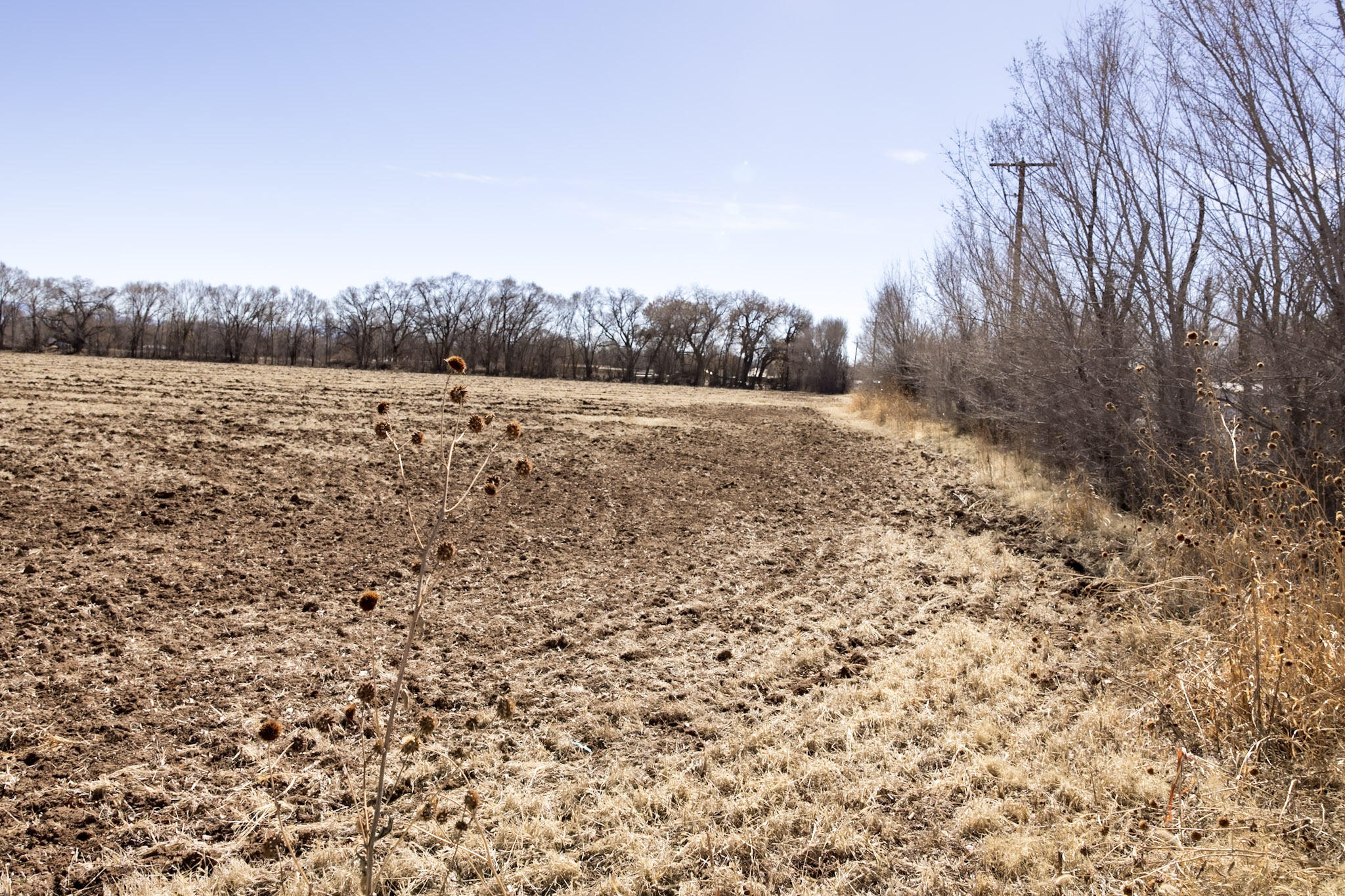 Photo 5 of 36 of 6830 Isleta Boulevard SW land