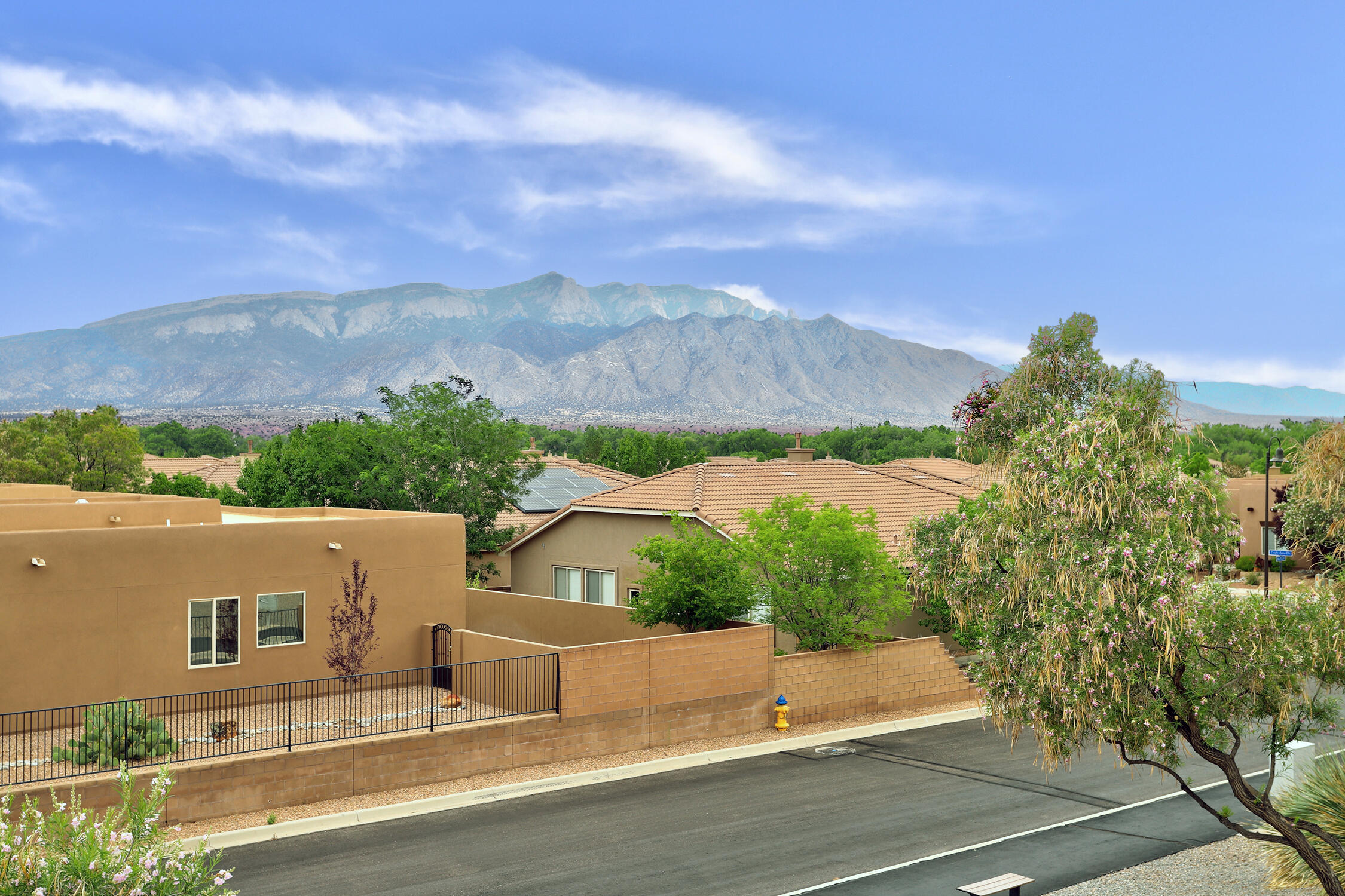 Photo 2 of 39 of 936 Desert Willow Court house