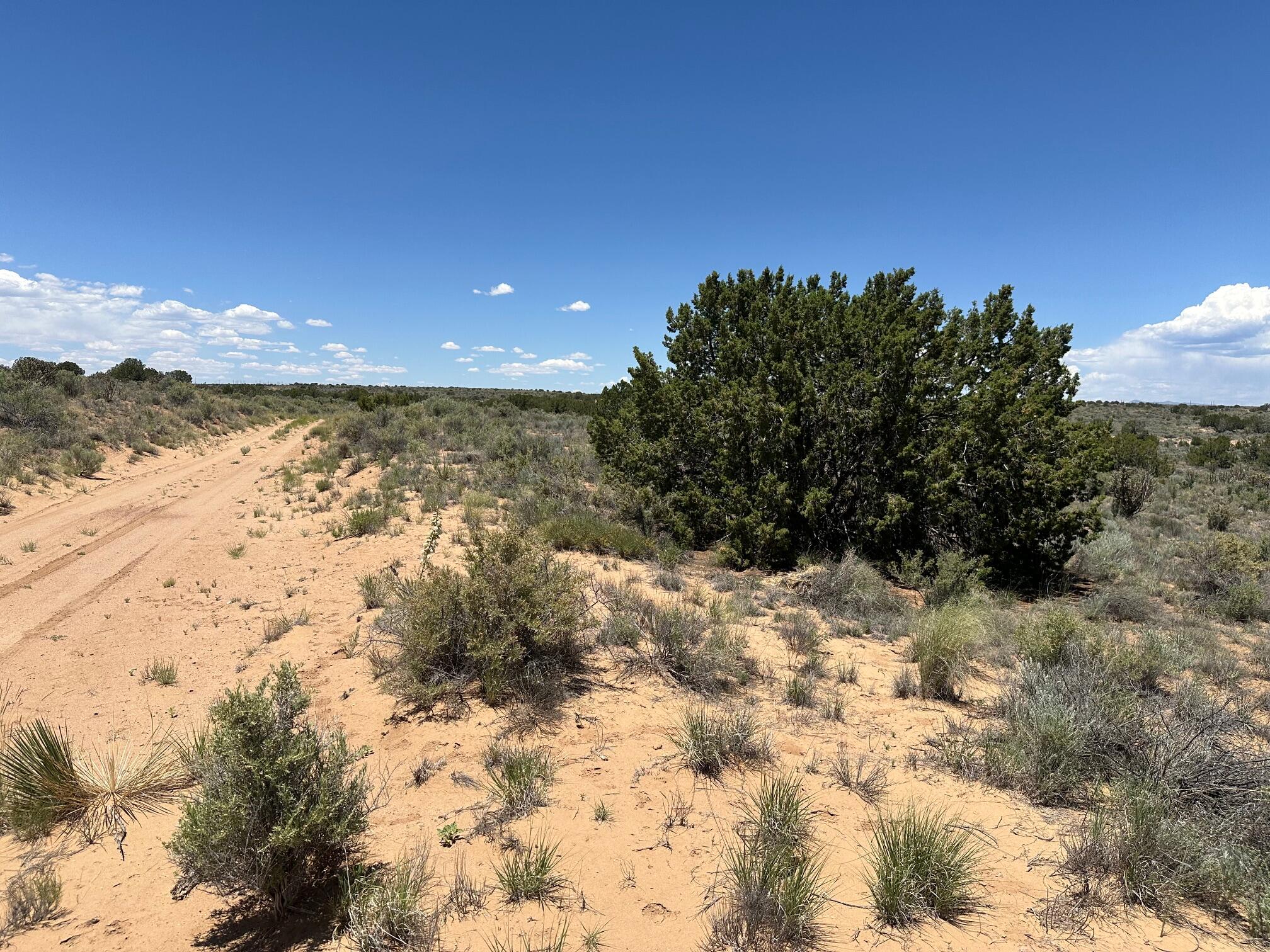 Photo 2 of 6 of Hermosilla Road NW land