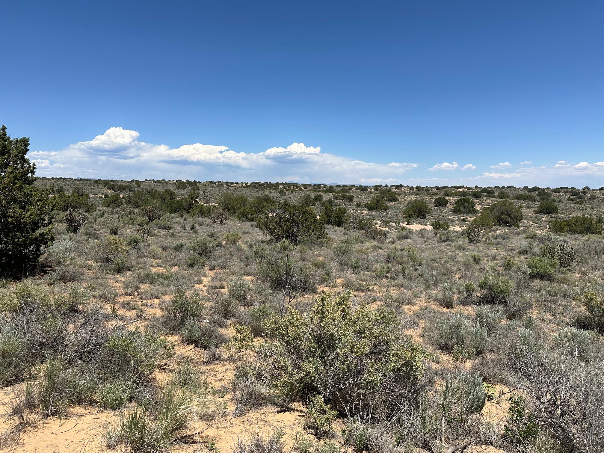 Photo 3 of 6 of Hermosilla Road NW land