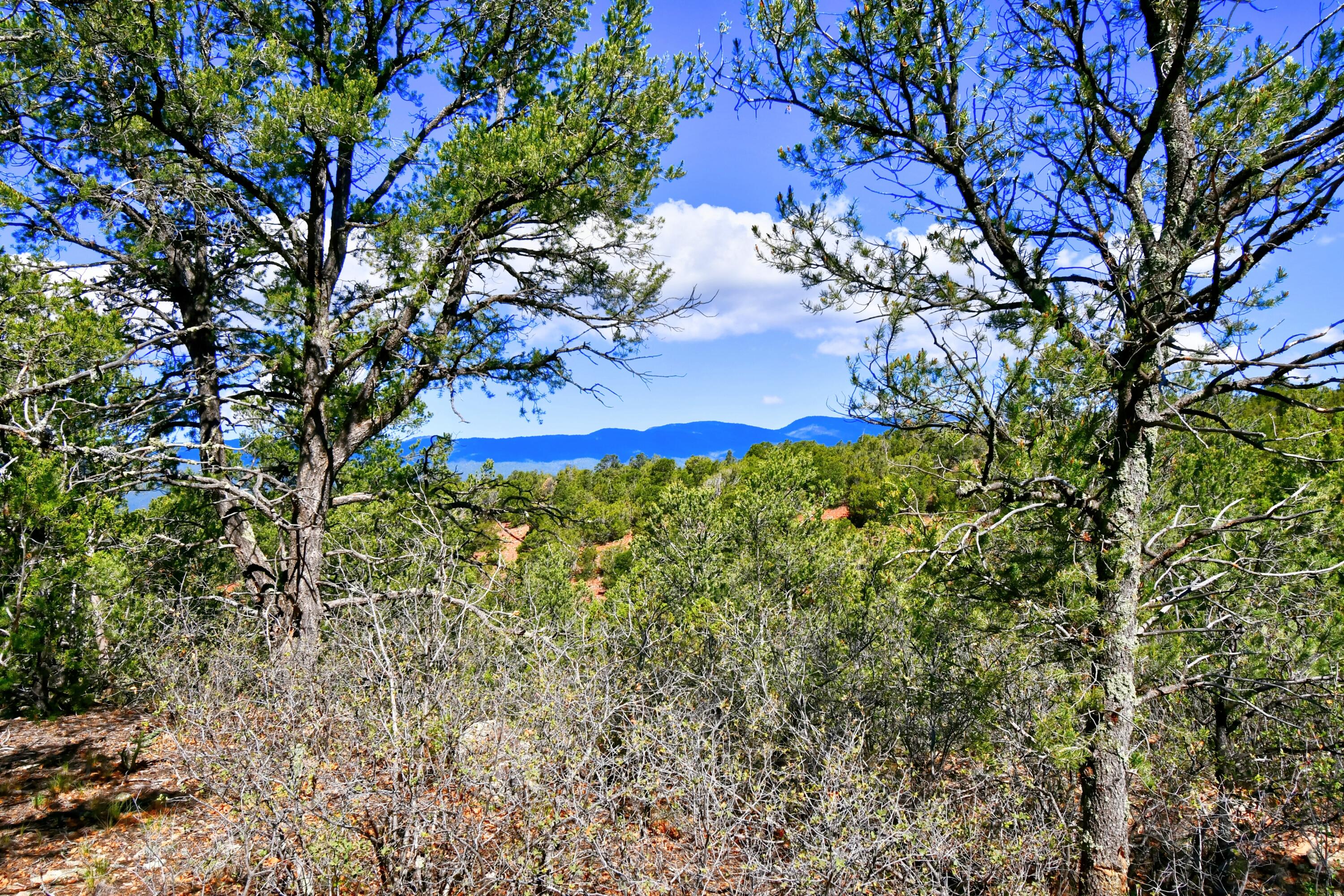 Photo 10 of 26 of 39 Camino De Avila land