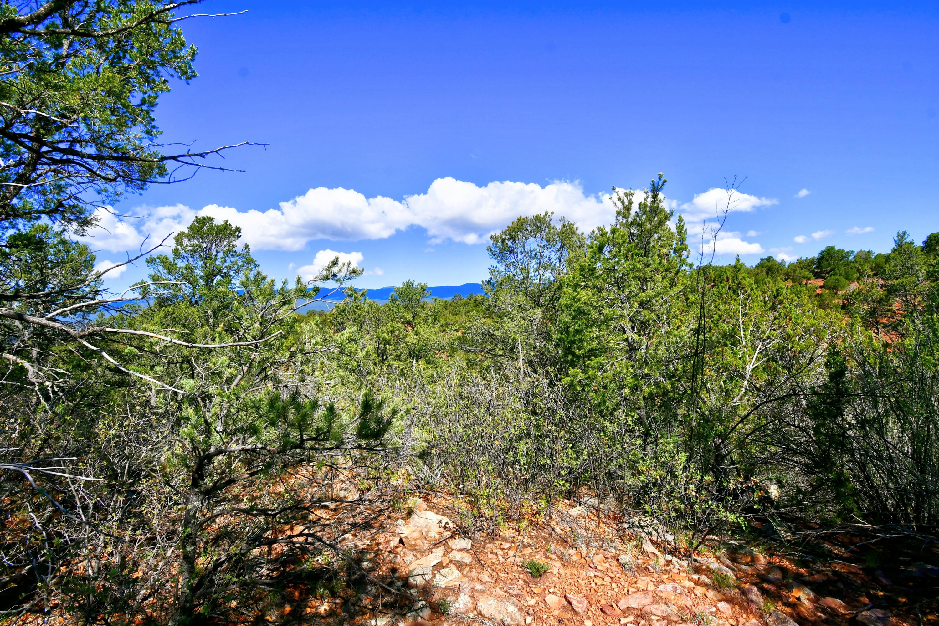 Photo 11 of 26 of 39 Camino De Avila land