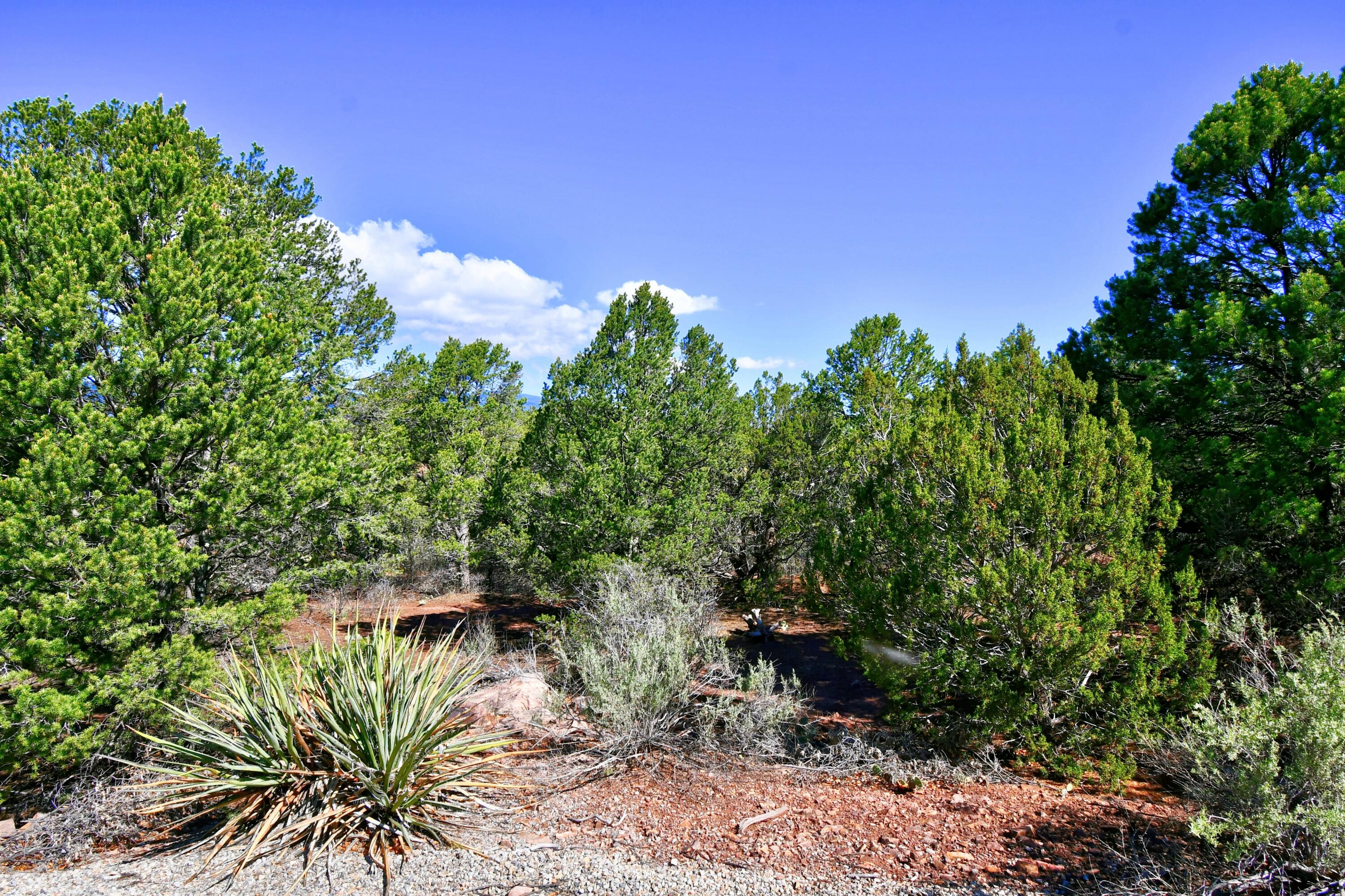 Photo 13 of 26 of 39 Camino De Avila land