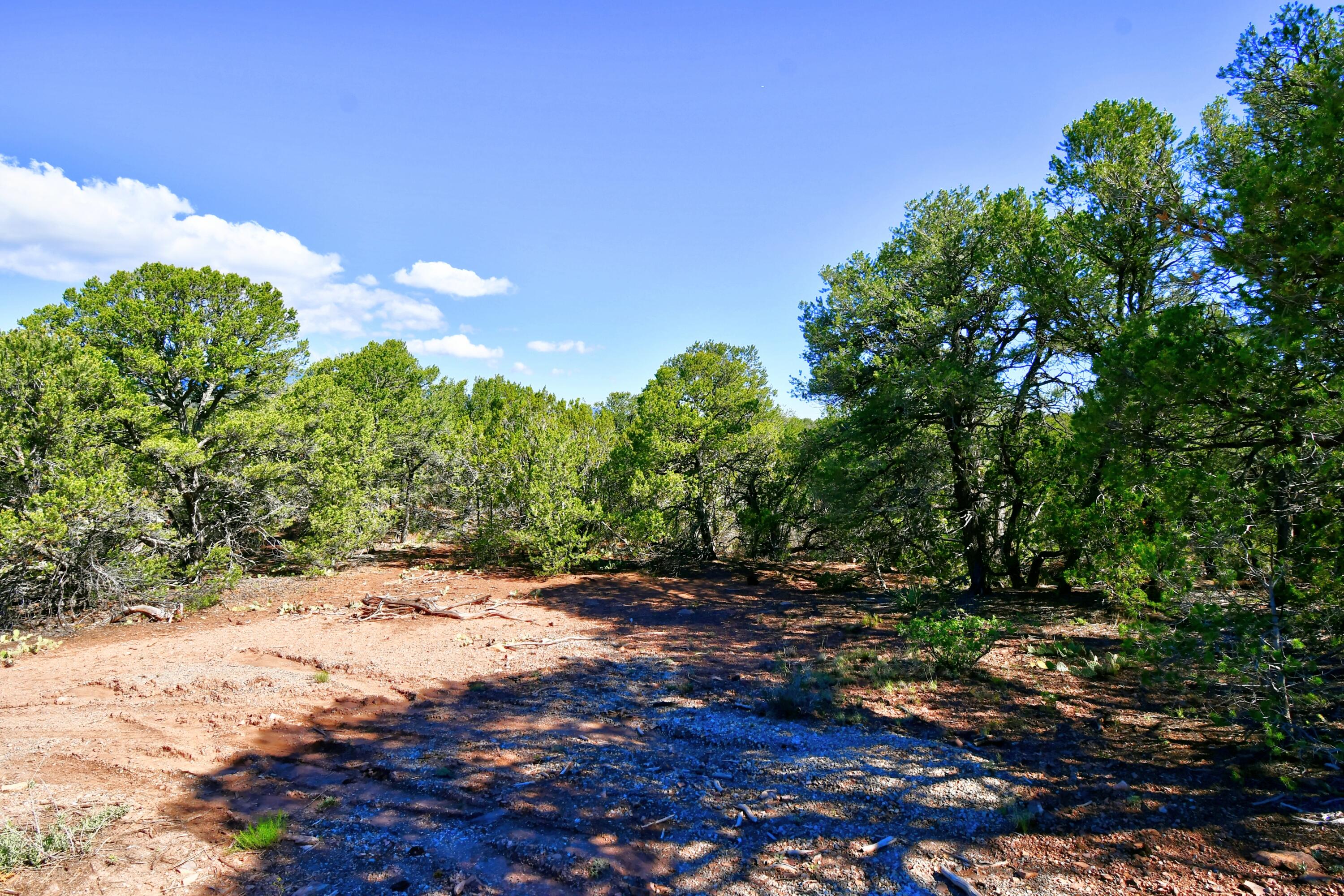 Photo 2 of 26 of 39 Camino De Avila land