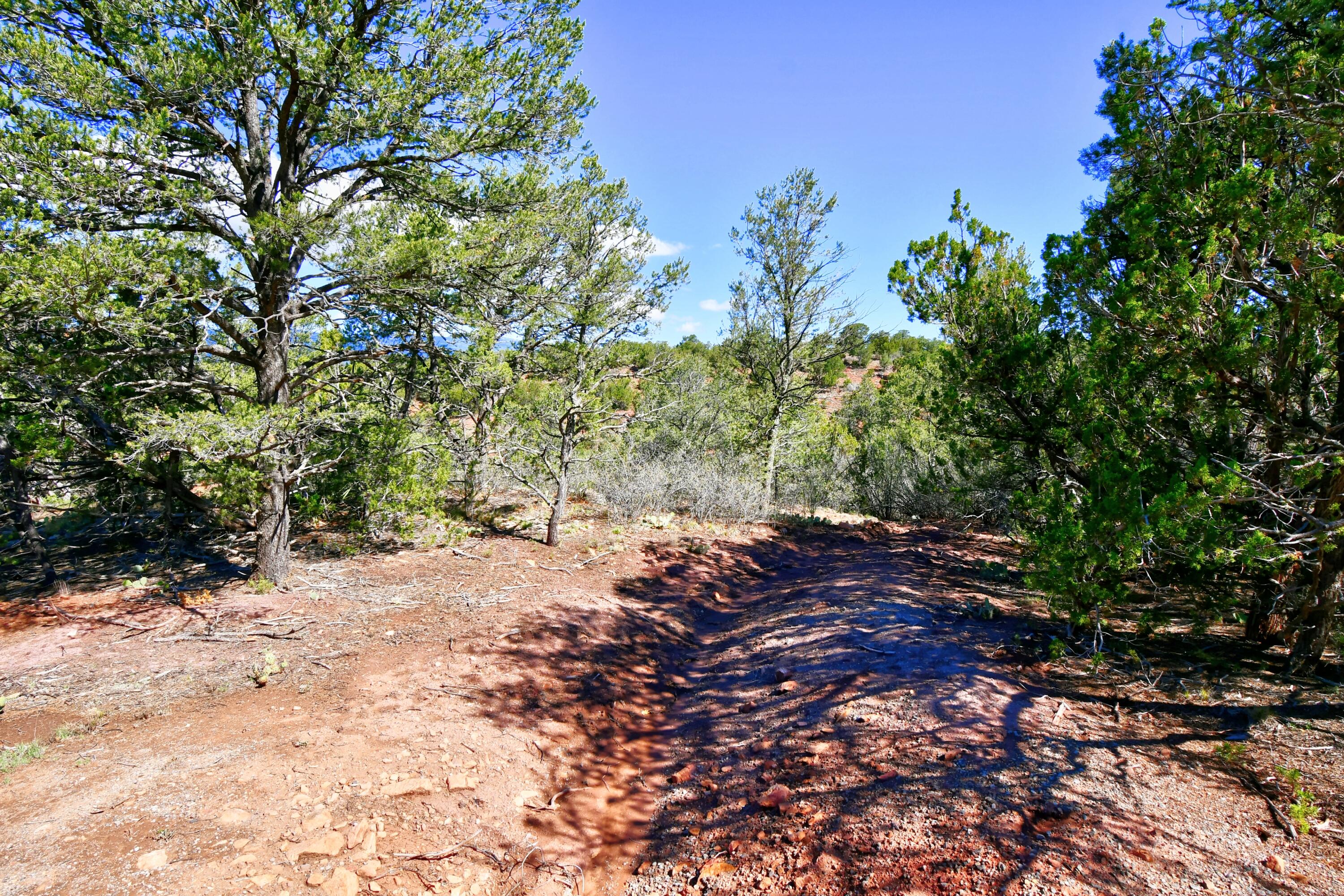 Photo 9 of 26 of 39 Camino De Avila land