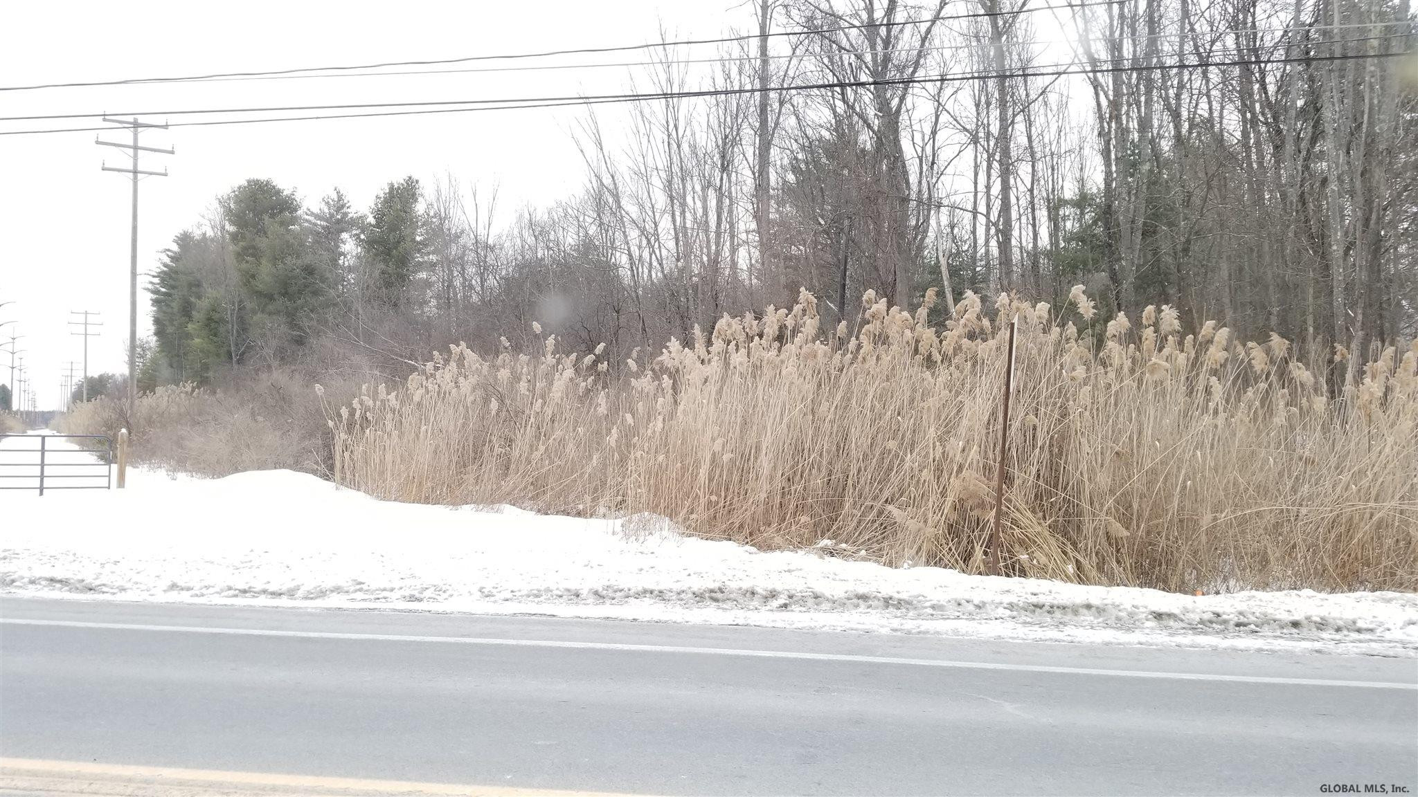 Photo 4 of 6 of L9.1 NEW YORK STATE ROUTE 50 land