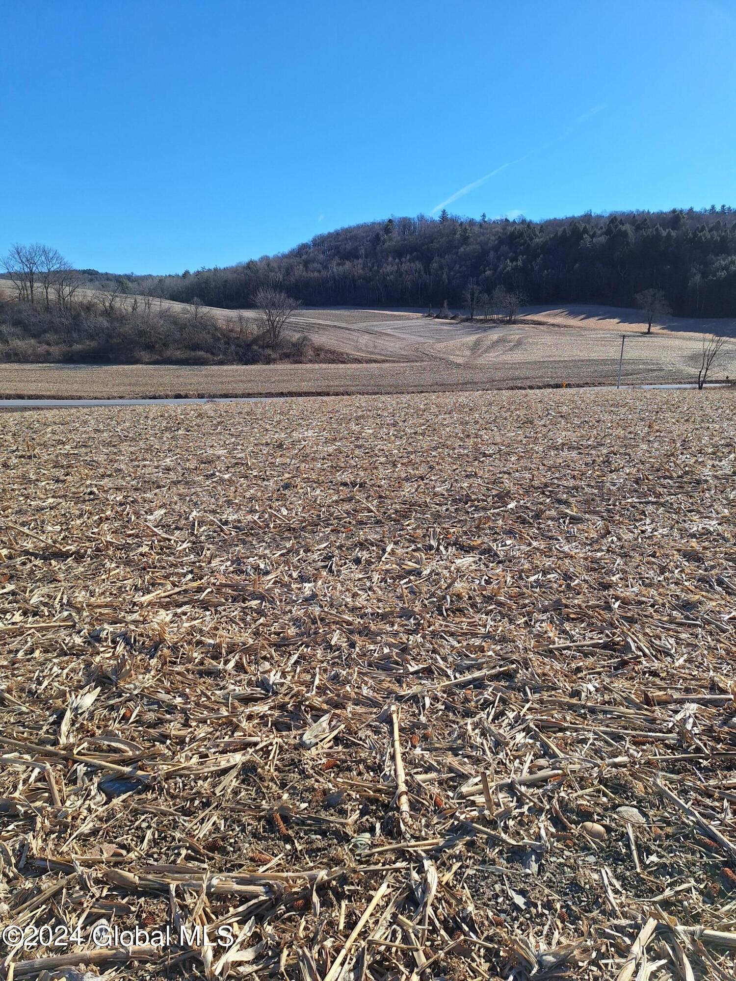 Photo 8 of 38 of 684 County Route 59 land