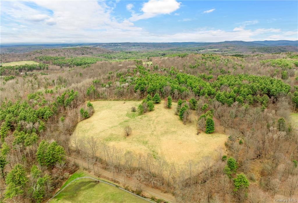 Photo 1 of 21 of 205 Seven Bridges Road land